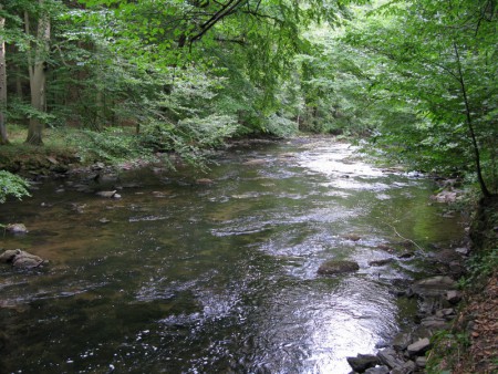 Metuje v Pekelském údolí